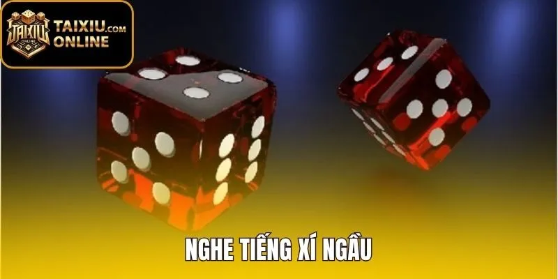 Nghe Tiếng Xí Ngầu - Sự Thật Đoán Mặt Điểm Qua Âm Học